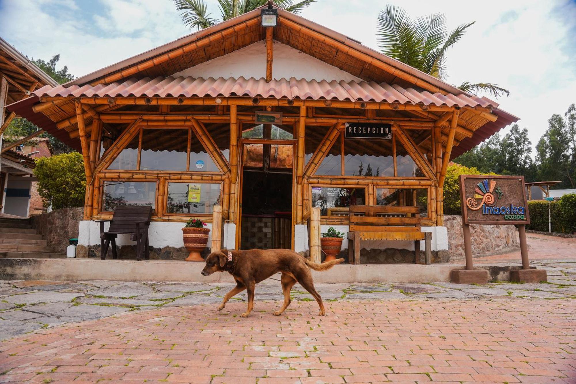 Hotel Campestre Inaoska Ecospa Nobsa Dış mekan fotoğraf